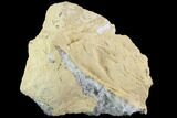 Fluorescent Calcite Geode - Morocco #89601-2